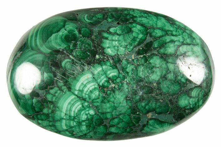 Polished Banded Malachite Palm Stone - DR Congo #321182